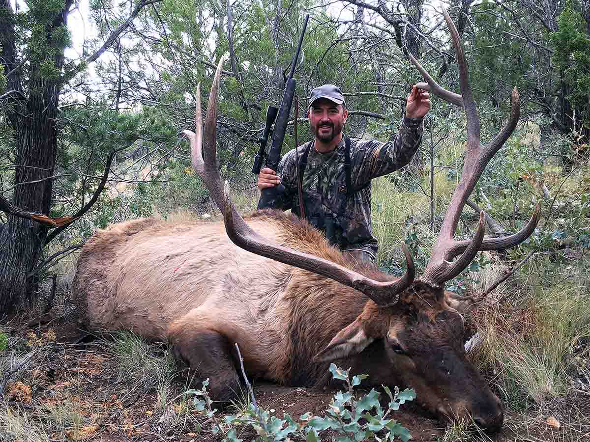 This New Mexico bull was shot with a New Ultra Light Arms .308 Winchester with a Swarovski Z3 scope.